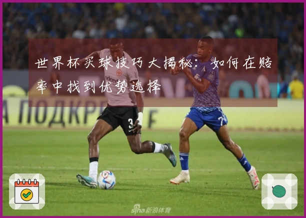 世界杯买球技巧大揭秘：如何在赔率中找到优势选择