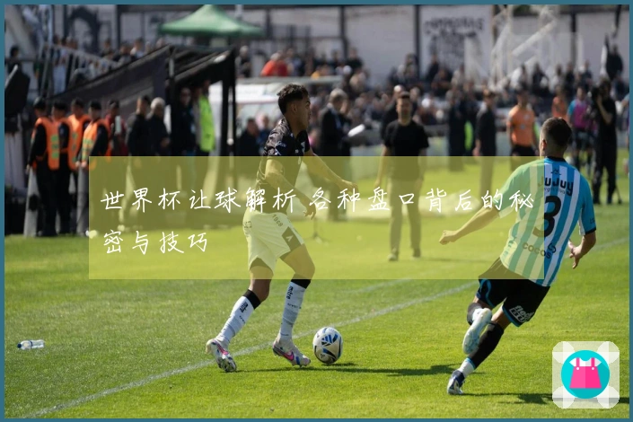 世界杯让球解析 各种盘口背后的秘密与技巧
