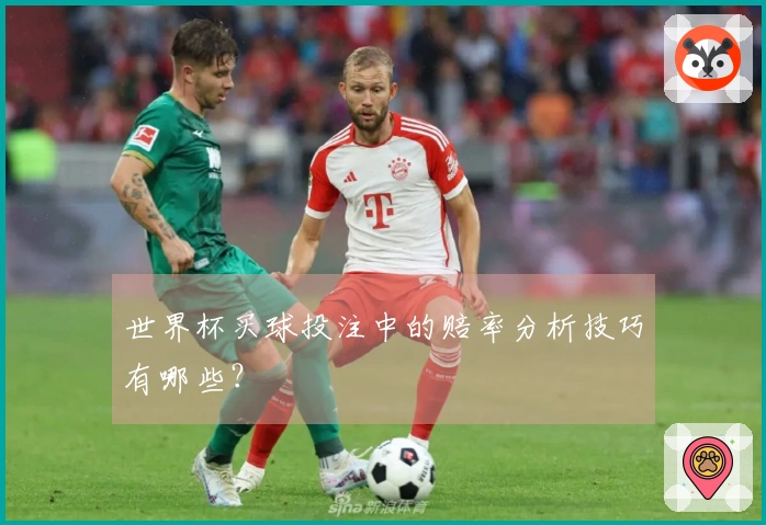 世界杯买球投注中的赔率分析技巧有哪些？
