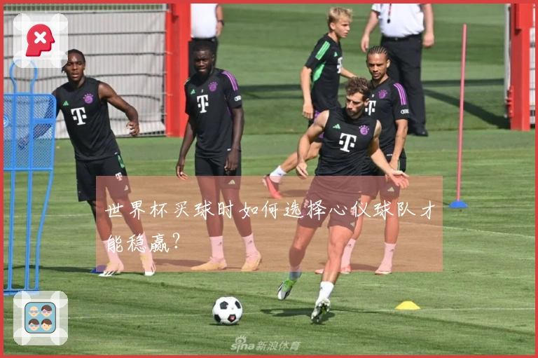 世界杯买球时如何选择心仪球队才能稳赢？