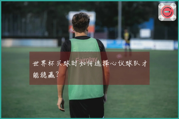世界杯买球时如何选择心仪球队才能稳赢？