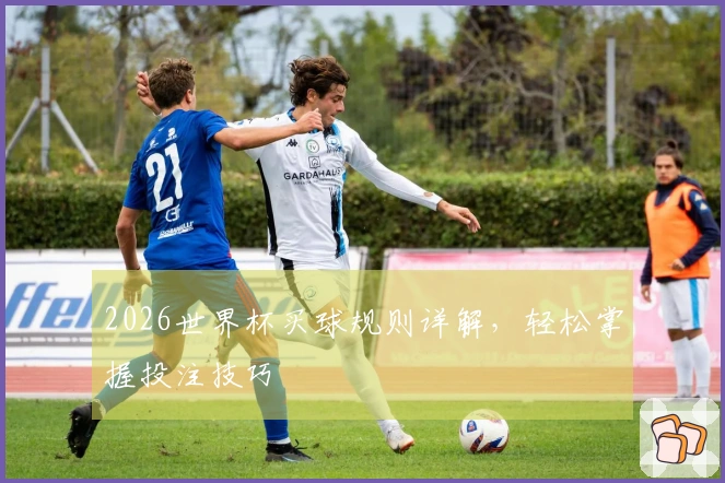2026世界杯买球规则详解，轻松掌握投注技巧