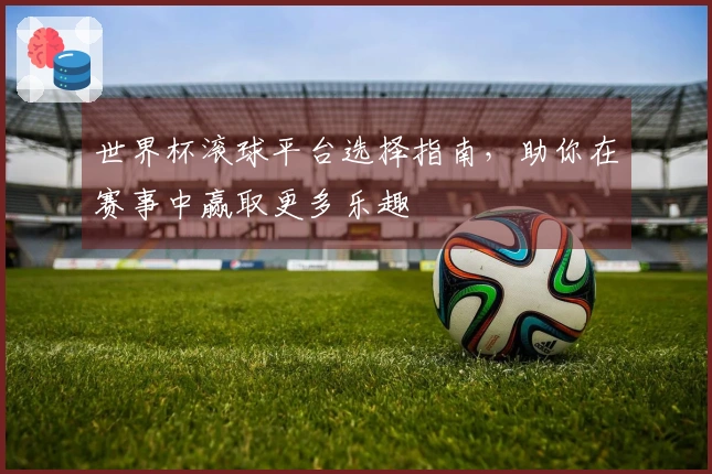 世界杯滚球平台选择指南，助你在赛事中赢取更多乐趣