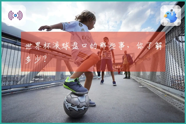 世界杯滚球盘口的那些事，你了解多少？