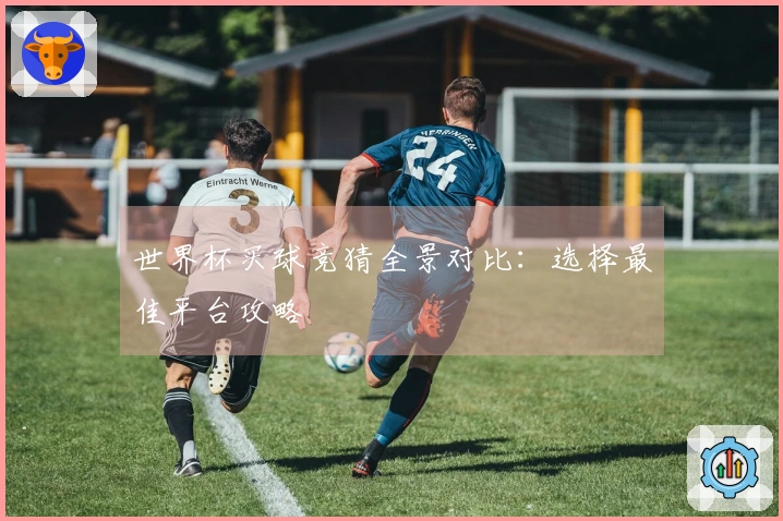 世界杯买球竞猜全景对比：选择最佳平台攻略