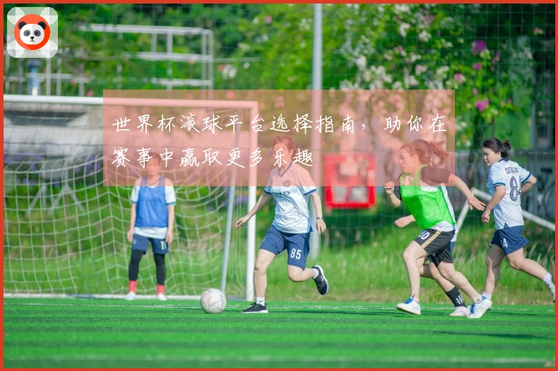 世界杯滚球平台选择指南，助你在赛事中赢取更多乐趣