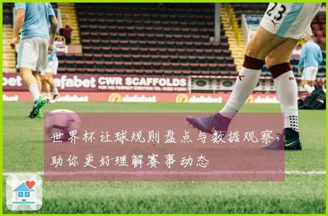 世界杯让球规则盘点与数据观察，助你更好理解赛事动态