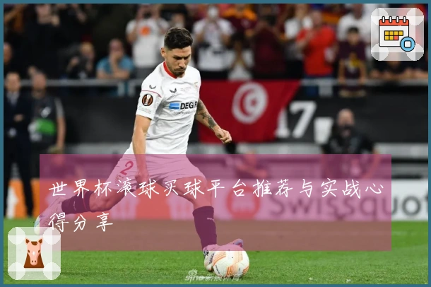 世界杯滚球买球平台推荐与实战心得分享