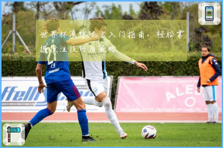 世界杯滚球玩法入门指南，轻松掌握投注技巧与策略